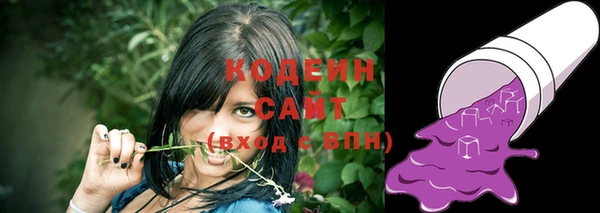 молекула духа Корсаков