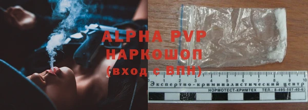 молекула духа Корсаков