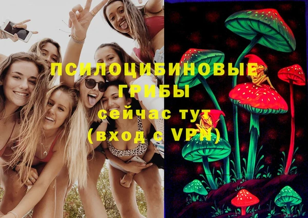 молекула духа Корсаков