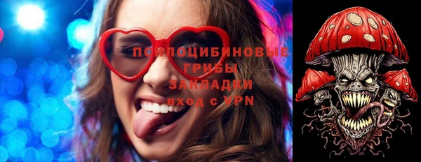 молекула духа Корсаков