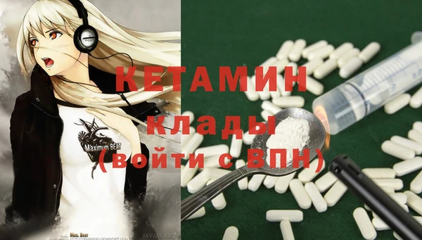 крисы Коряжма