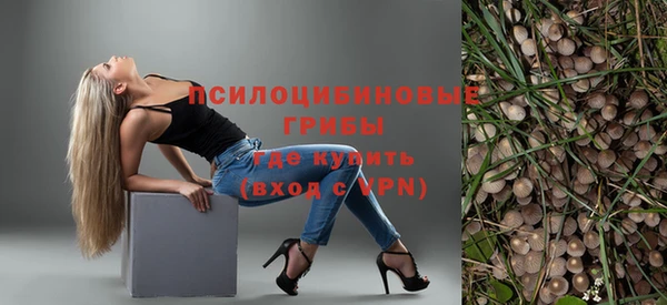 крисы Коряжма