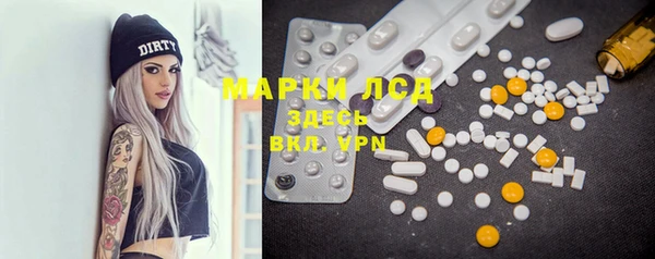 крисы Коряжма