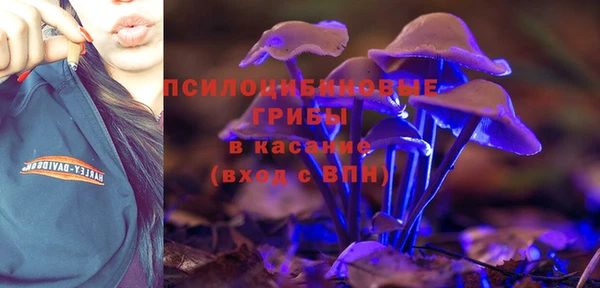 PSILOCYBIN Козельск