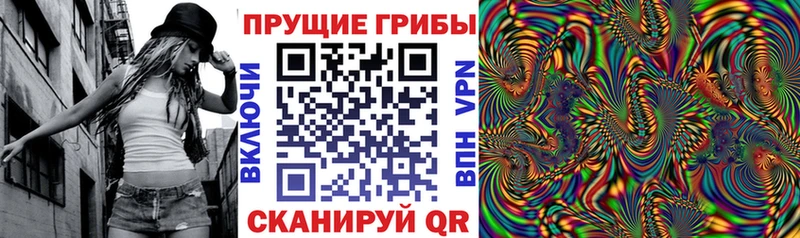 Купить  Цимлянск  Псилоцибиновые грибы MAGIC MUSHROOMS 
